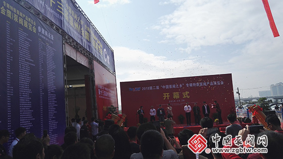 2018第二屆“中國泵閥之鄉(xiāng)”專精特新泵閥產(chǎn)品博覽會暨第十三屆溫州(金鷹)泵閥展覽會 2018第二屆“中國泵閥之鄉(xiāng)”專精特新泵閥產(chǎn)品博覽會暨第十三屆溫州(金鷹)泵閥展覽會