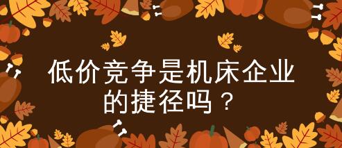 低價(jià)競(jìng)爭(zhēng)是機(jī)床企業(yè)的“取勝之匙”嗎? 低價(jià)競(jìng)爭(zhēng)是機(jī)床企業(yè)的“取勝之匙”嗎?