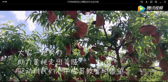 精準(zhǔn)扶貧 黃桃產(chǎn)品宣傳銷售 精準(zhǔn)扶貧 黃桃產(chǎn)品宣傳銷售