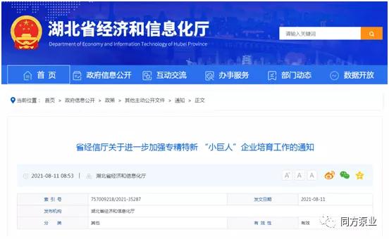 同方泵業(yè)獲評國家級“小巨人” 同方泵業(yè)獲評國家級“小巨人”