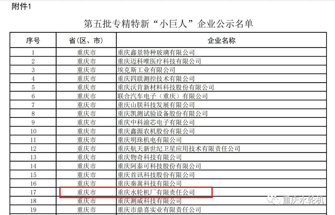 重慶水輪機(jī)公司獲評(píng)國家專精特新“小巨人”企業(yè) 重慶水輪機(jī)公司獲評(píng)國家專精特新“小巨人”企業(yè)