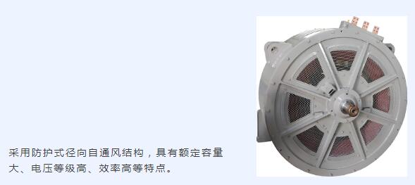 主發(fā)電機(jī) 主發(fā)電機(jī)