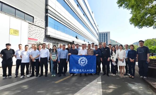 杭州良盛電氣有限公司 杭州良盛電氣有限公司