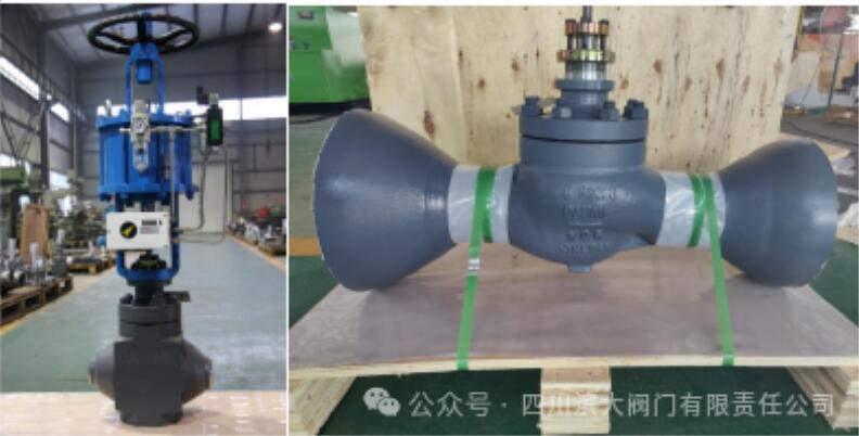 國(guó)能盤(pán)山電廠延壽改造成功！道默濱大閥門(mén)與DAUME閥門(mén)共鑄關(guān)鍵力量
