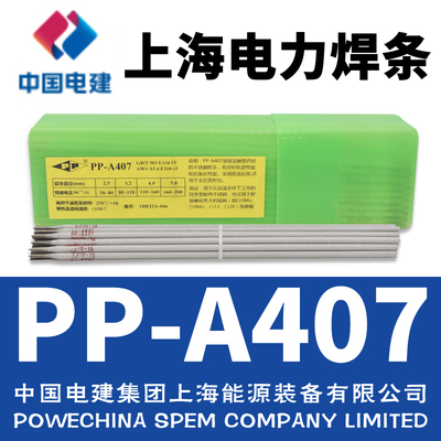 PP-A407P䓺l/E310-15l