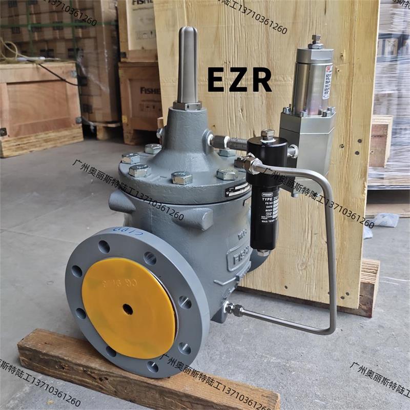 fisher{EZR߉py39B3996X012