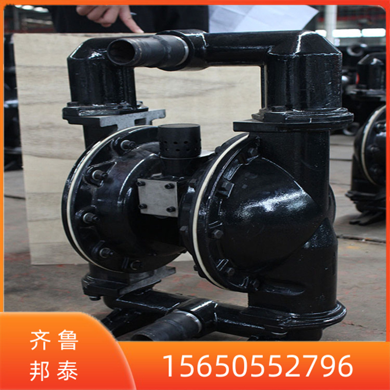 VBQG450/0.2ʽӸĤ